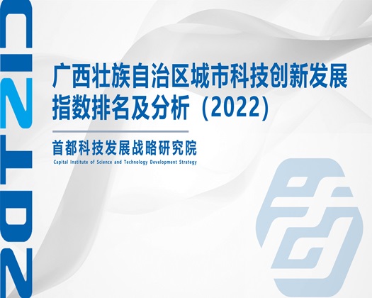 粉嫩逼逼【成果发布】广西壮族自治区城市科技创新发展指数排名及分析（2022）